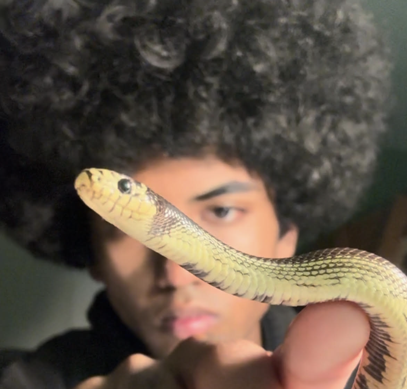 Cris Claw