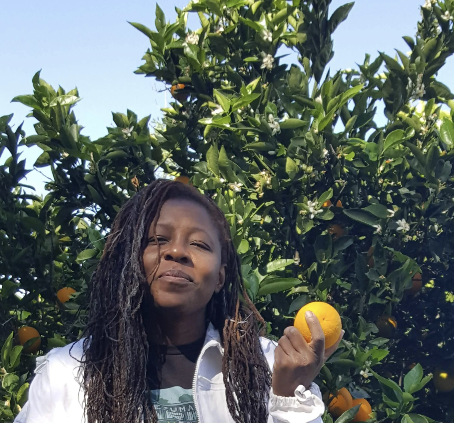 Kemi Pavlocak